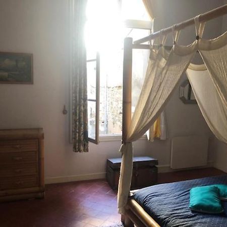 Agreable, Touche Exotique Apartment Carcassonne Exterior foto